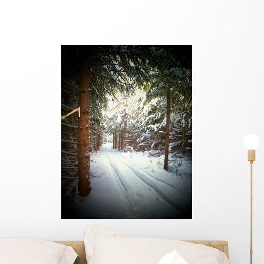 Snowmobile Trail4 Wall Mural