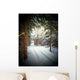 Snowmobile Trail4 Wall Mural
