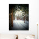 Snowmobile Trail4 Wall Mural