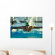 swimmer Wall Mural