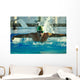 swimmer Wall Mural