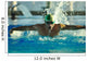 swimmer Wall Mural