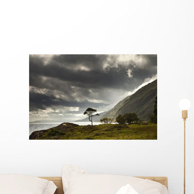 Sunlight Shingin through Storm Wall Mural shown on a wall