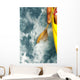 Tahiti, View Of Traveling Outrigger Canoe Wall Mural