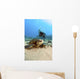 USA, Diver Gets Close-Up View Of Green Sea Turtle Wall Mural