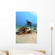 USA, Diver Gets Close-Up View Of Green Sea Turtle Wall Mural