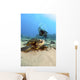 USA, Diver Gets Close-Up View Of Green Sea Turtle Wall Mural