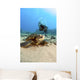 USA, Diver Gets Close-Up View Of Green Sea Turtle Wall Mural