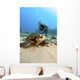 USA, Diver Gets Close-Up View Of Green Sea Turtle Wall Mural