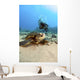 USA, Diver Gets Close-Up View Of Green Sea Turtle Wall Mural
