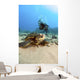 USA, Diver Gets Close-Up View Of Green Sea Turtle Wall Mural