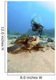 USA, Diver Gets Close-Up View Of Green Sea Turtle Wall Mural