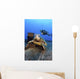 Diver Views Green Sea Turtle On Wreck Of Yo-257 Wall Mural