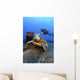 Diver Views Green Sea Turtle On Wreck Of Yo-257 Wall Mural