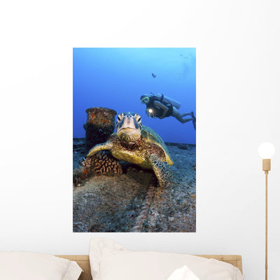 Diver Views Green Sea Wall Mural shown on a wall