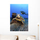 Diver Views Green Sea Turtle On Wreck Of Yo-257 Wall Mural