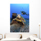 Diver Views Green Sea Turtle On Wreck Of Yo-257 Wall Mural