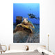 Diver Views Green Sea Turtle On Wreck Of Yo-257 Wall Mural