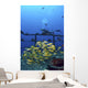 Diver And Schooling Blue Striped Snapper On Wreck Of Sea Tiger Wall Mural