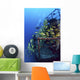 Diver And Schooling Blue Striped Snapper On Wreck Of Sea Tiger Wall Mural