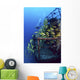 Diver And Schooling Blue Striped Snapper On Wreck Of Sea Tiger Wall Mural