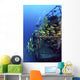 Diver And Schooling Blue Striped Snapper On Wreck Of Sea Tiger Wall Mural