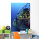 Diver And Schooling Blue Striped Snapper On Wreck Of Sea Tiger Wall Mural