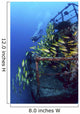 Diver And Schooling Blue Striped Snapper On Wreck Of Sea Tiger Wall Mural