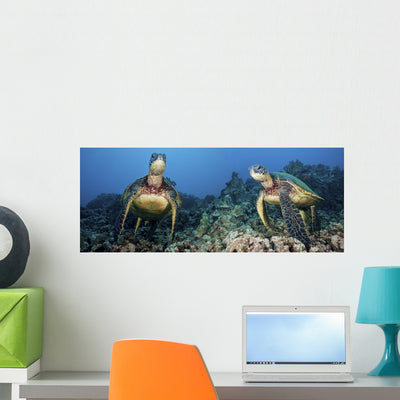Dc Hawaii Green Sea Wall Mural shown on a wall
