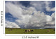 Cattle Grazing In A Field Wall Mural