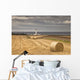 Barns Ness Lighthouse Along The Coast And Hay Bales In A Field Wall Mural