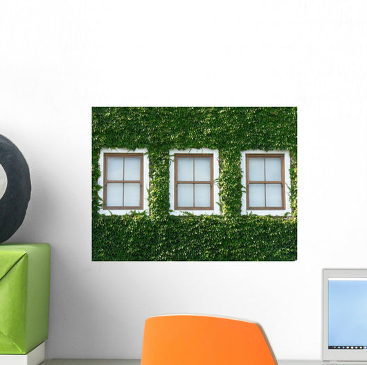 Windows and Ivy Wall Mural