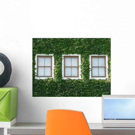 Windows and Ivy Wall Mural
