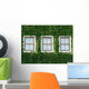 Windows and Ivy Wall Mural