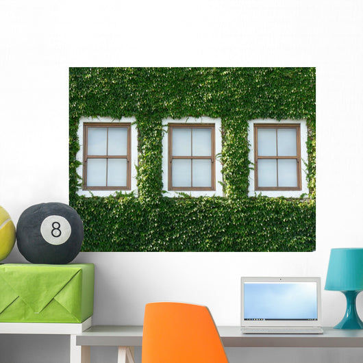 Windows and Ivy Wall Mural