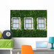 Windows and Ivy Wall Mural