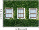 Windows and Ivy Wall Mural