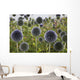 Wildflowers With Purple Heads Wall Mural