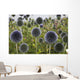 Wildflowers With Purple Heads Wall Mural