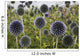 Wildflowers With Purple Heads Wall Mural