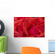 Red Rose Petals With Dew Drops Wall Mural
