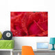 Red Rose Petals With Dew Drops Wall Mural