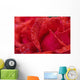 Red Rose Petals With Dew Drops Wall Mural