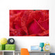 Red Rose Petals With Dew Drops Wall Mural