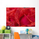 Red Rose Petals With Dew Drops Wall Mural