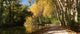 Panorama Canal Du Midi Wall Decal