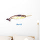Hand Painted Watercolor Narwhal Wall Decal