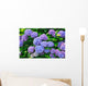Hydrangea
