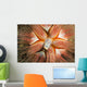 Hawaii, Maui, Rare Sighting Of A Blue-Spotted Sea Urchin Wall Mural