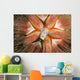 Hawaii, Maui, Rare Sighting Of A Blue-Spotted Sea Urchin Wall Mural